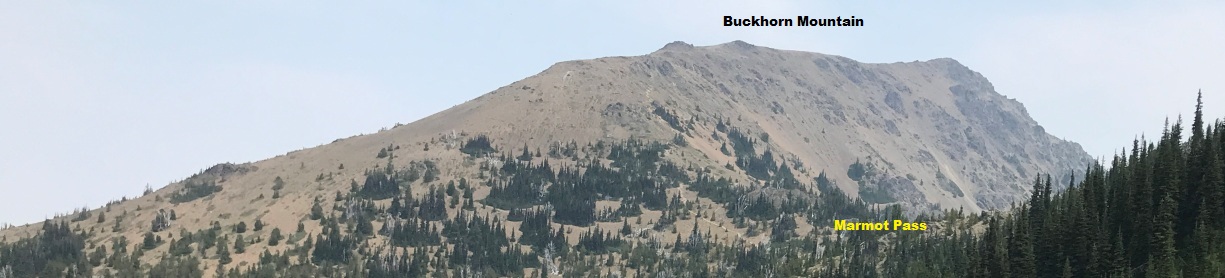 Buckhorn Mountain
