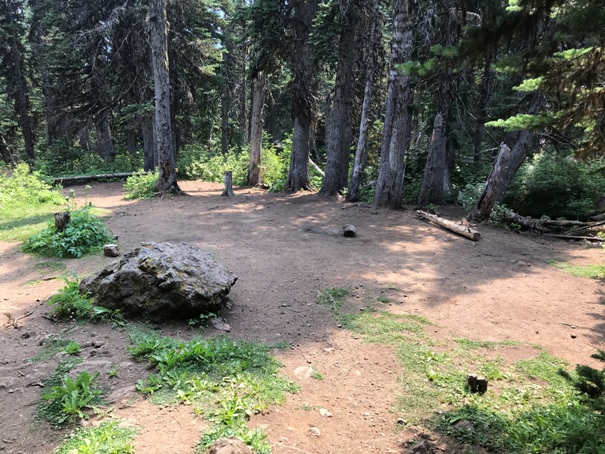 Marmot Pass Big Quilcene Trail