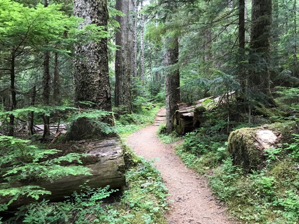 Big Quilcene Trail