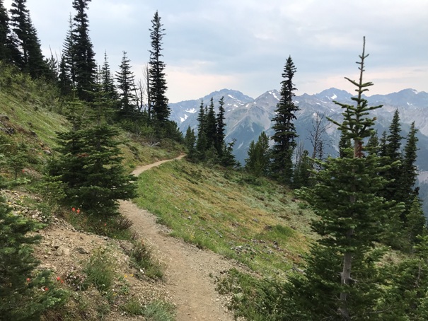 Marmot Pass