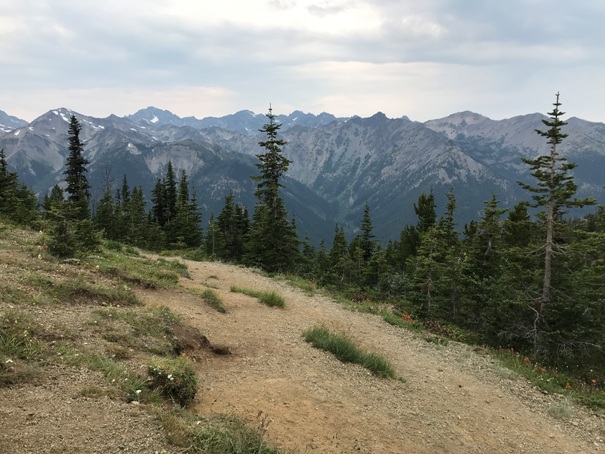 Marmot Pass