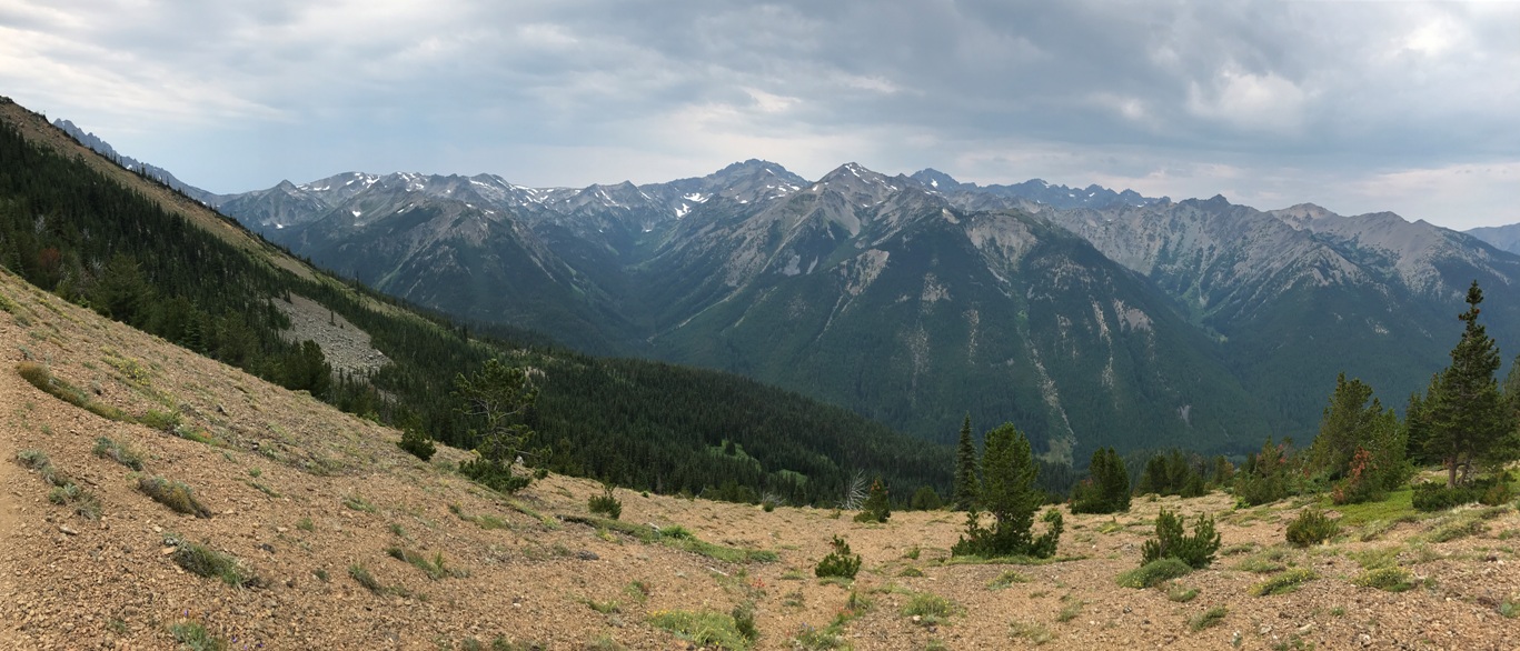 olympic mountains