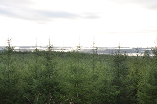 crocker lookout 