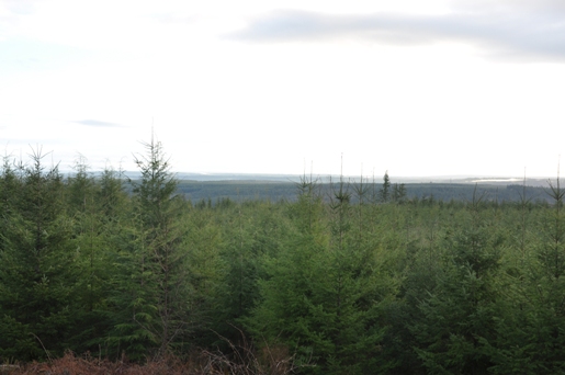 crocker lookout 