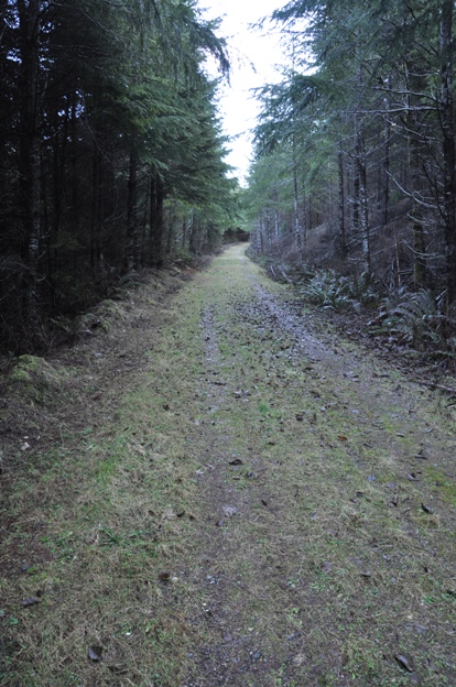 Little Skidder Hill