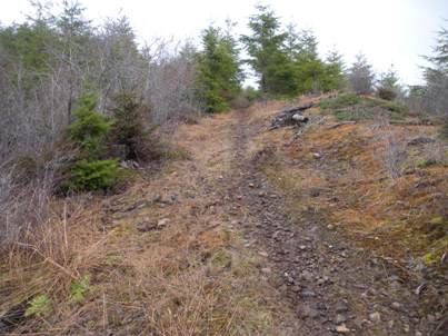 dayton peak trail