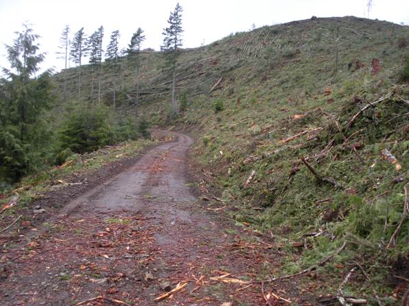 dayton peak road