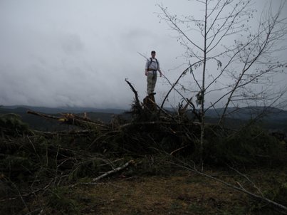 dayton peak summit