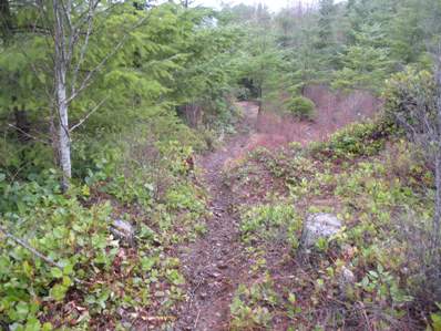 dayton peak trail