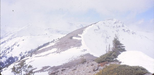 elk mountain trail