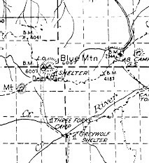 Forest Map