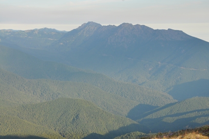 mount angeles