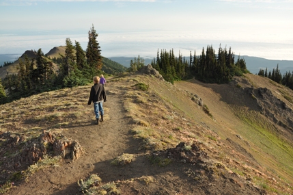 olympic national park