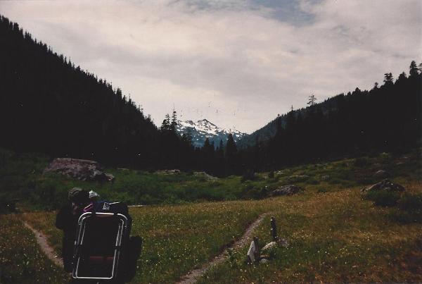 quinault valley