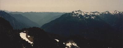 Quinault River Valley