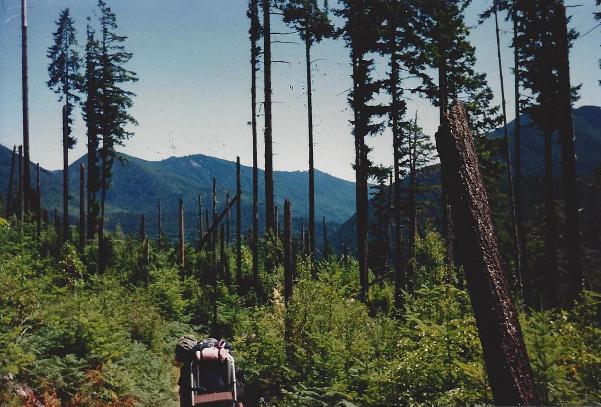 olympic national park