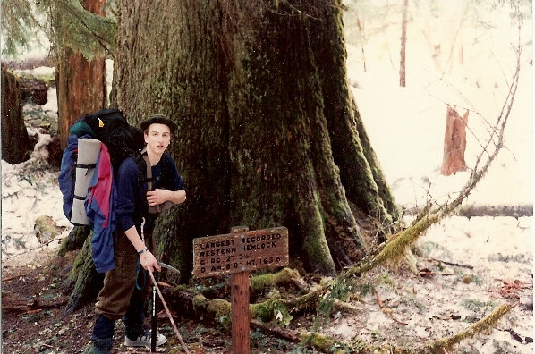 Western Hemlock