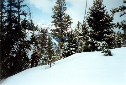 Snowshoeing up Baldy