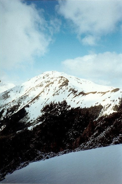 Gray Wolf Ridge