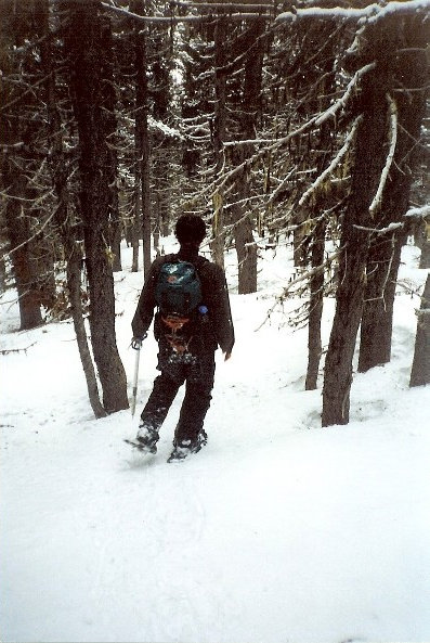 Snowshoeing 