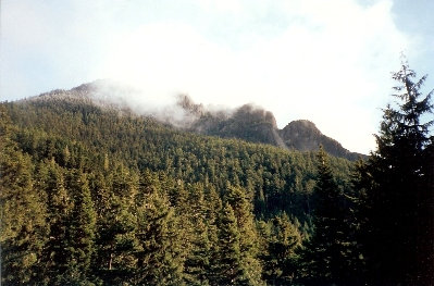 Tyler Peak 