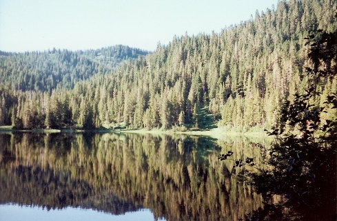 Deer Lake