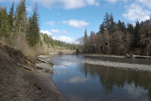 Bogachiel River Trail