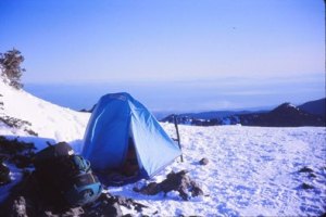 Hurricane Ridge 