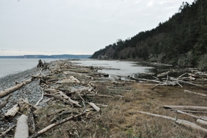 Miller Peninsula 