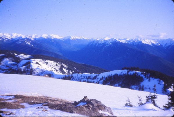 Elwaha Valley