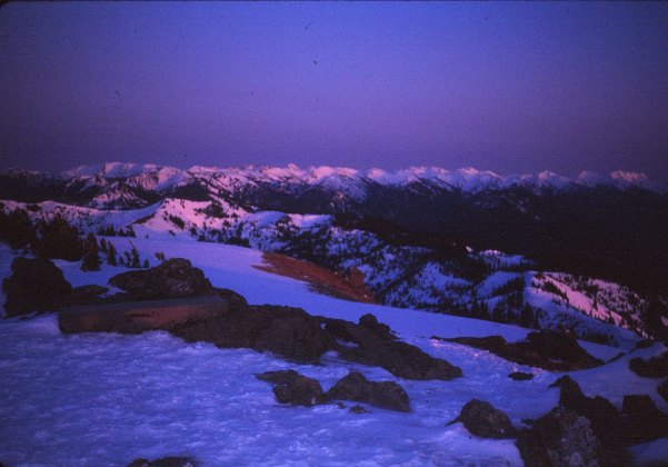 evening light hurricane ridge