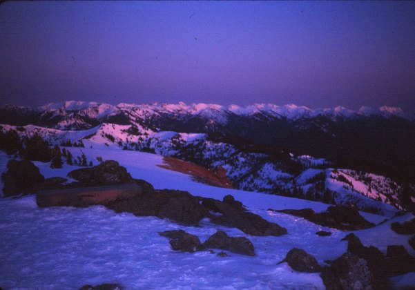 evening light hurricane ridge