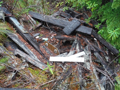 jefferson ridge lookout