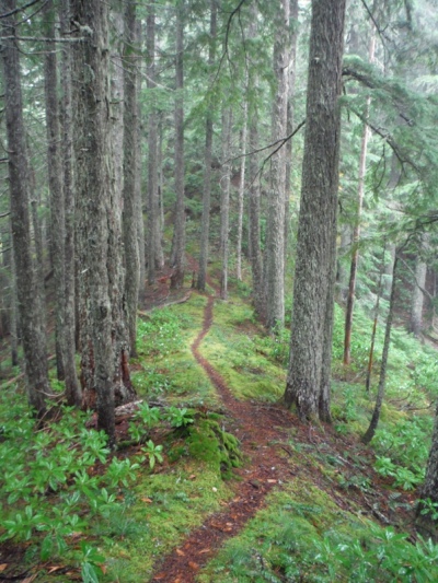 jefferson ridge trail