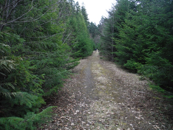 lookout hill road