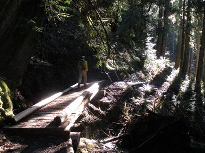 Elwha River trail