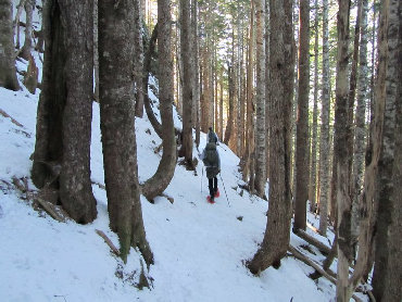 Mount Muller trail