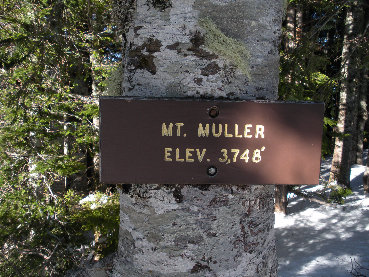 Muller Sign