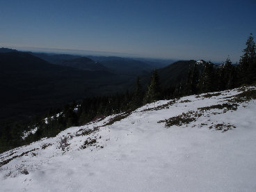 Olympic National Forest