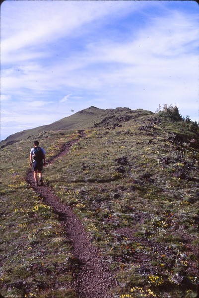 Mount Townsend trail