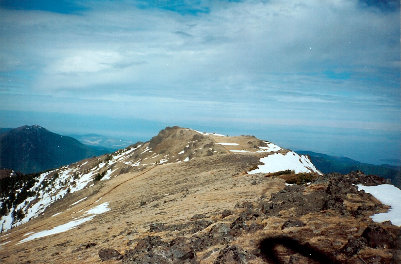 Mount Townsend summit