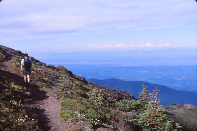 Mount Townsend trail