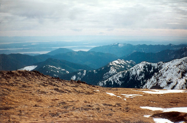 Mount Townsend summit view