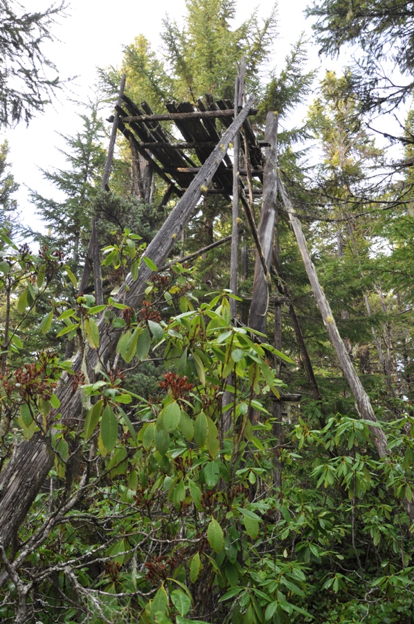 lookout tower