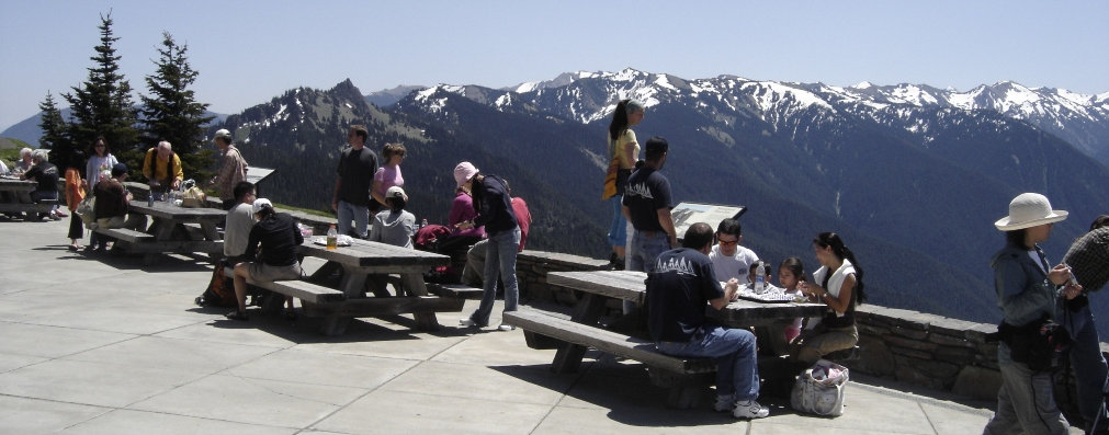 Hurricane Ridge visitors