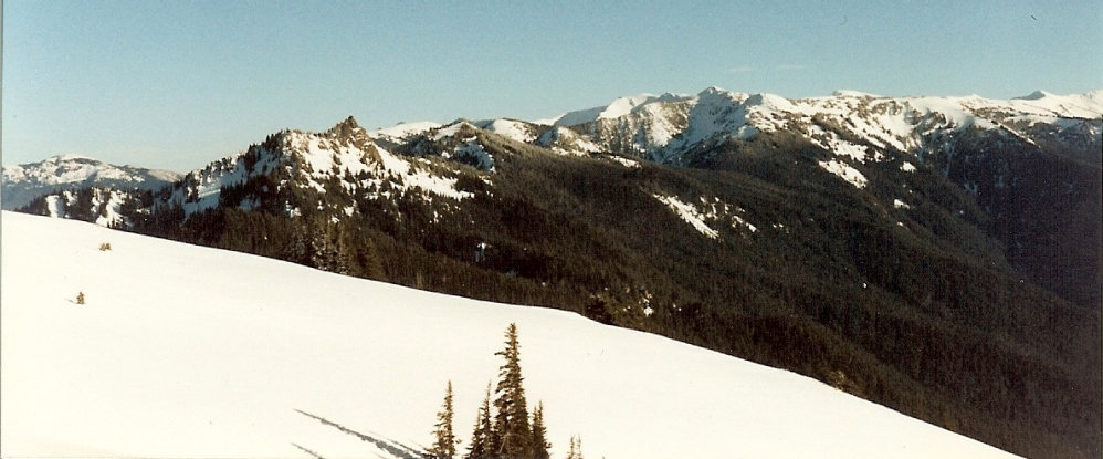 Hurricane Ridge winter