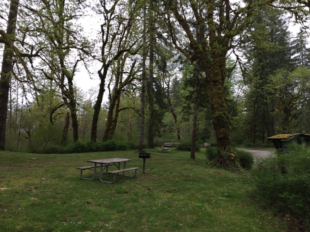 Picnic area