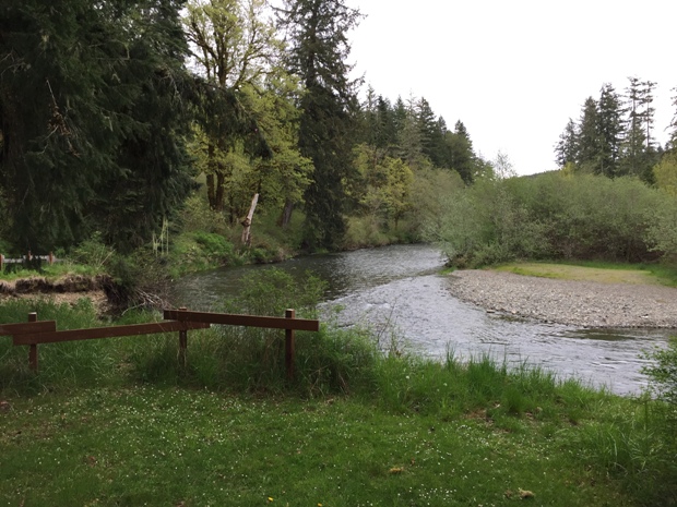 Satsop River