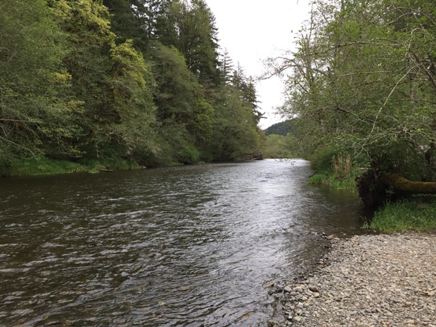 Satsop River