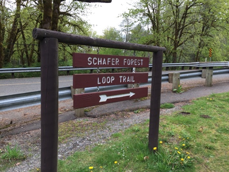 Loop Trail 